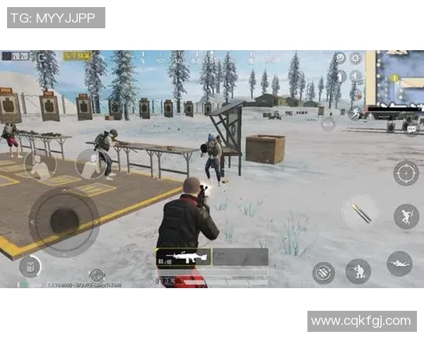 和平精英战术分析：深入探讨WE战队的区域防守策略与执行效果